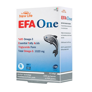 EFA-ONE1-300x300